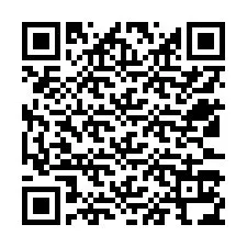 QR Code for Phone number +12533134824