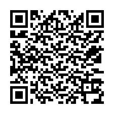 QR-код для номера телефона +12533134889