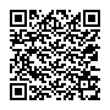 Codice QR per il numero di telefono +12533135758