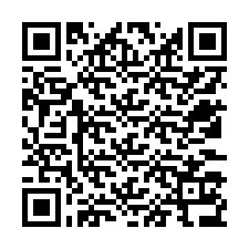 Codice QR per il numero di telefono +12533136188