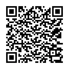 Codice QR per il numero di telefono +12533137329