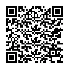 QR код за телефонен номер +12533138658