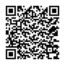 QR Code สำหรับหมายเลขโทรศัพท์ +12533138659