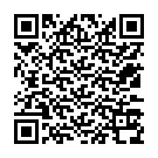 Código QR para número de telefone +12533138845