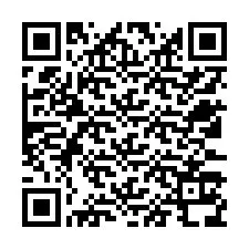 QR-код для номера телефона +12533138968