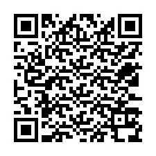 QR kód a telefonszámhoz +12533138969