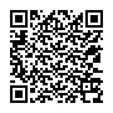 Codice QR per il numero di telefono +12533138970