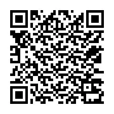 QR-code voor telefoonnummer +12533231969