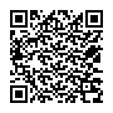 Kod QR dla numeru telefonu +12533238173