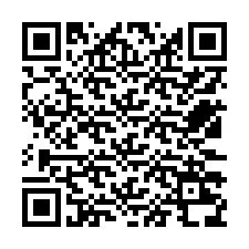 Código QR para número de telefone +12533238697