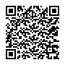 QR-koodi puhelinnumerolle +12533239829