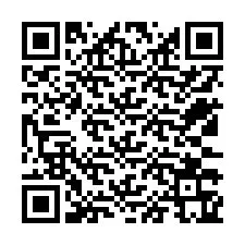 QR kód a telefonszámhoz +12533365731