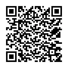 QR-Code für Telefonnummer +12533755383