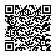 QR Code pour le numéro de téléphone +12533758589