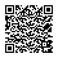 Codice QR per il numero di telefono +12533801063