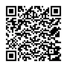 QR-koodi puhelinnumerolle +12533803227