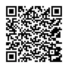 Kode QR untuk nomor Telepon +12533803235