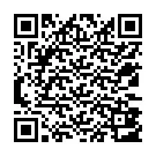 QR-koodi puhelinnumerolle +12533803280