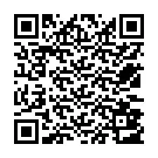 QR код за телефонен номер +12533803787