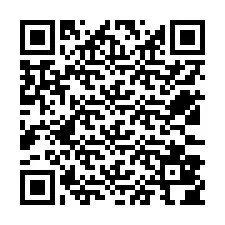 QR-code voor telefoonnummer +12533804723