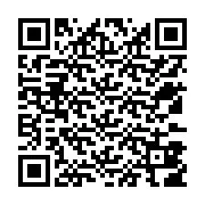 QR Code for Phone number +12533806010