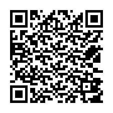 QR-code voor telefoonnummer +12533807237