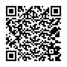 QR Code pour le numéro de téléphone +12533809533