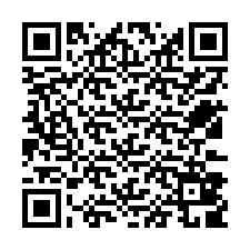 QR-Code für Telefonnummer +12533809653