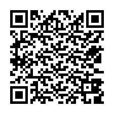 QR-koodi puhelinnumerolle +12533809836