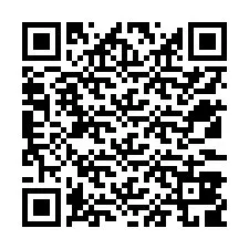 Código QR para número de telefone +12533809880