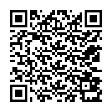 QR Code for Phone number +12533831795