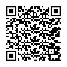 QR-code voor telefoonnummer +12533831795