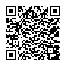 QR kód a telefonszámhoz +12533883493