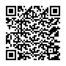 QR-код для номера телефона +12533903361