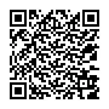 QR-код для номера телефона +12533906500