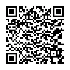 QR-code voor telefoonnummer +12533958771