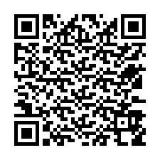 QR Code for Phone number +12533958956