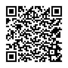 QR-code voor telefoonnummer +12534651072