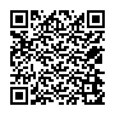 Codice QR per il numero di telefono +12534651073