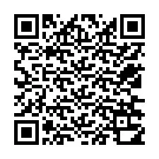 QR-код для номера телефона +12536310629