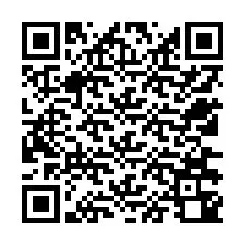 Codice QR per il numero di telefono +12536340368