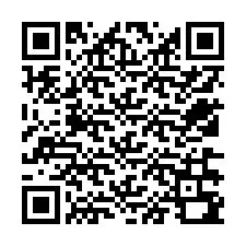 Kode QR untuk nomor Telepon +12536390049