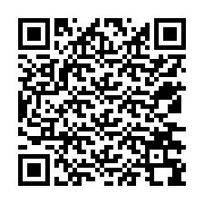 Codice QR per il numero di telefono +12536398790