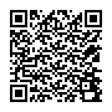 Codice QR per il numero di telefono +12536490361