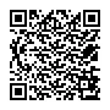 QR-code voor telefoonnummer +12536873417