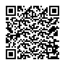 QR Code for Phone number +12536873421