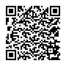 Código QR para número de teléfono +12536873422