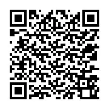 QR-Code für Telefonnummer +12537560058