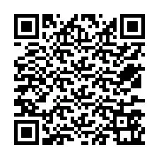 QR-code voor telefoonnummer +12537561013