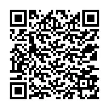 電話番号のQRコード +12537975384